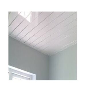 Sample Ceiling Design 4
