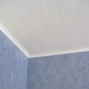 Sample Ceiling Design 5
