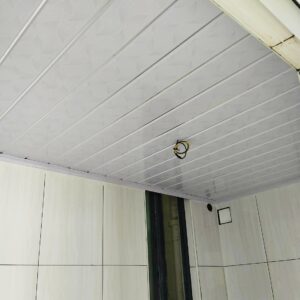 Sample Toilet Ceiling