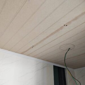 Sample Ceiling Design 7