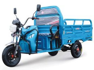 Electric Small Crago Tricycle E11