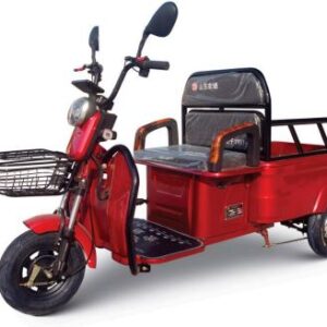 Electric Small Crago Tricycle E5