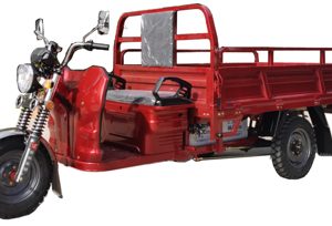 Cargo Tricycle E19