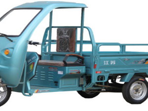 Cargo Tricycle E20