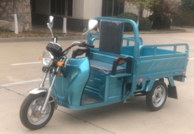 Cargo Tricycle E21