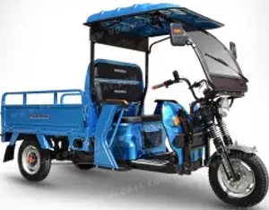 Cargo Tricycle E22