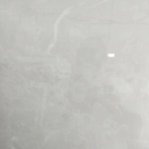 Toilet Wall Tile Sample 2