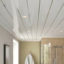 Toilet-Ceilings