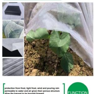 NON WOVEN FABRIC