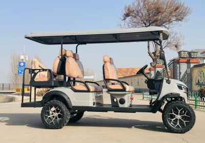 Buggy-1